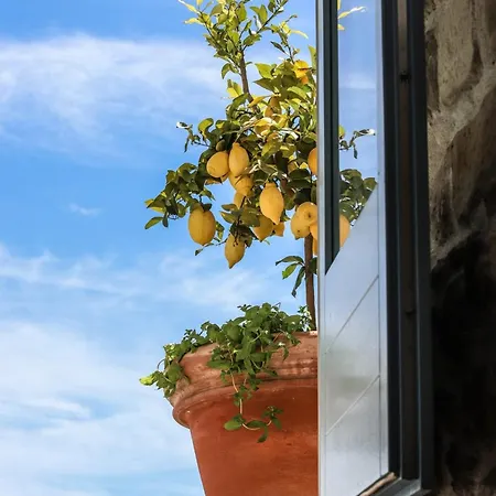 Gasthof Domos Mi & Ro