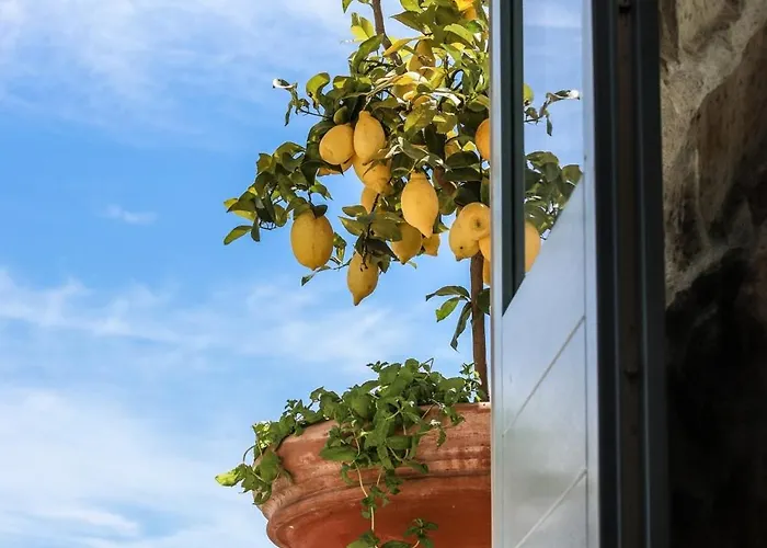 Pensjonat Domos Mi & Ro