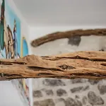 Pensjonat Domos Mi & Ro Castelsardo